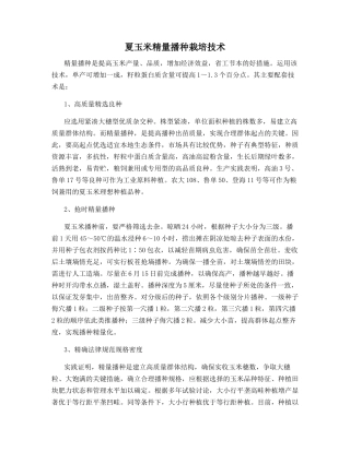 夏玉米精量播种栽培技术