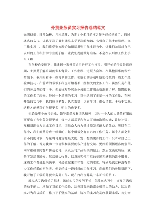 外贸业务员实习报告总结范文