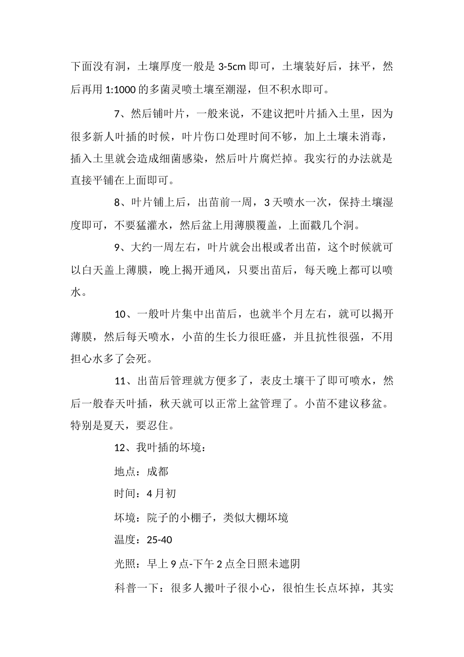 多肉植物叶片扦插_第2页