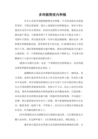 多肉植物室内种植