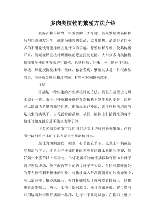 多肉类植物的繁殖方法介绍