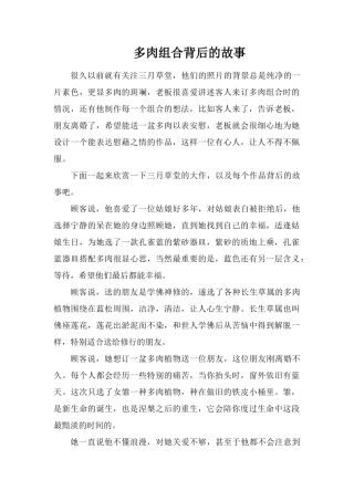 多肉组合背后的故事