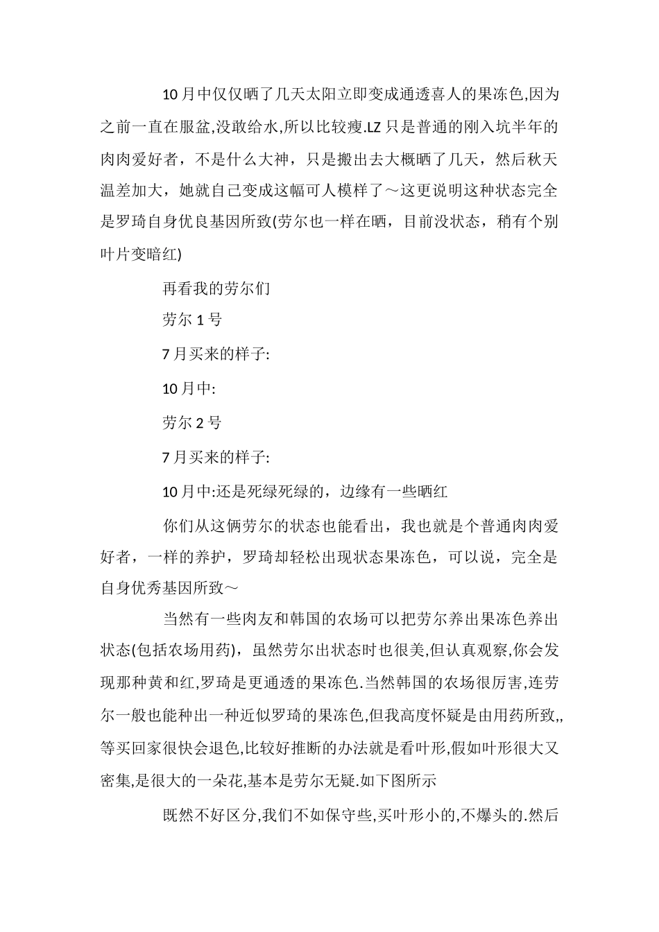 多肉罗琦跟劳尔区别_第2页