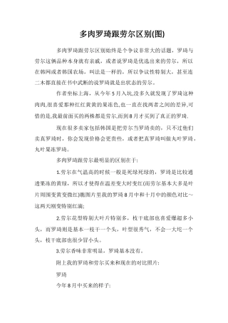 多肉罗琦跟劳尔区别