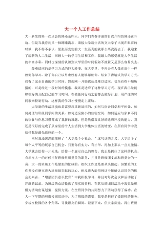 大一个人工作总结