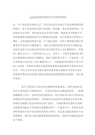 大中小构建高效软件开发流程和团队
