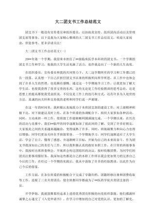 大二团支书工作总结范文