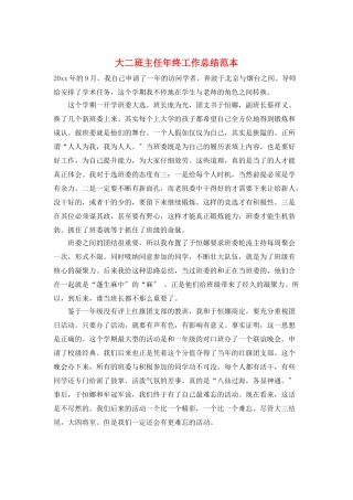 大二班主任年终工作总结范本
