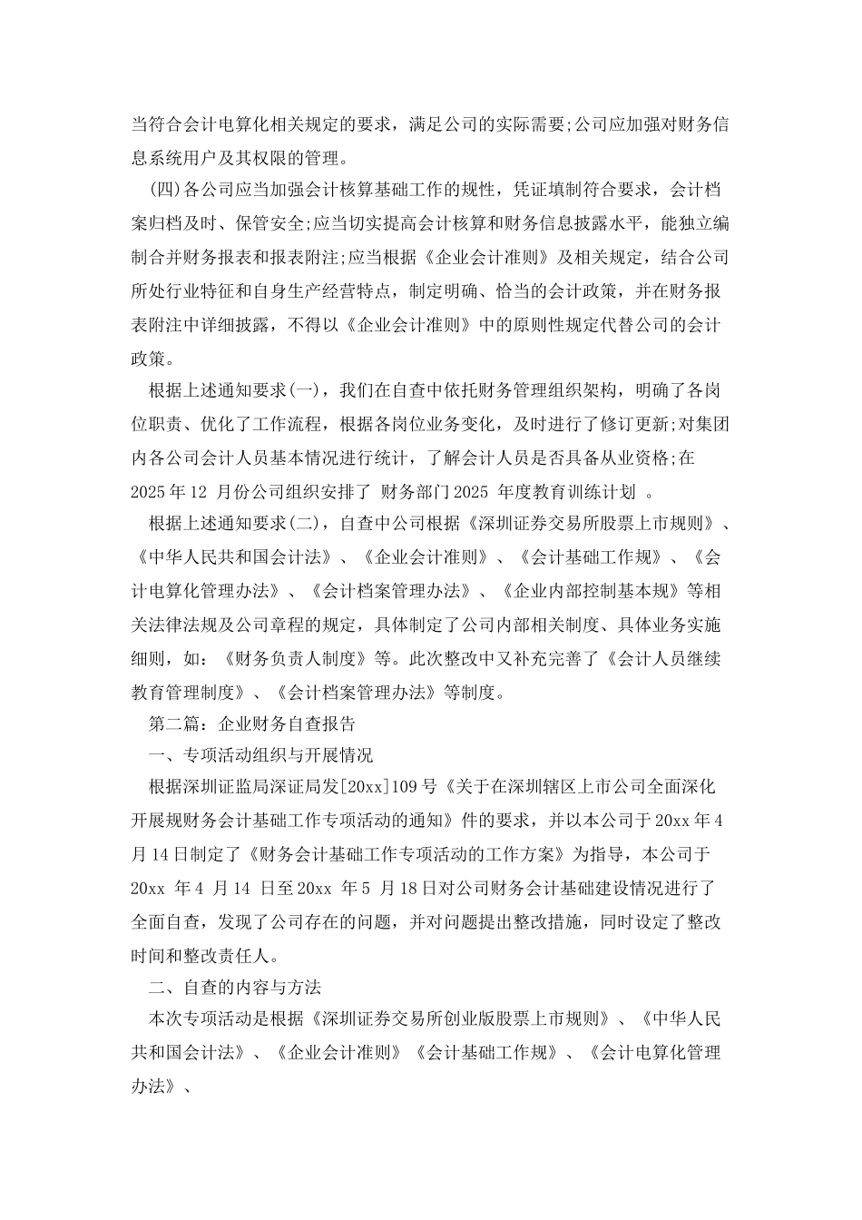 大众版企业财务自查报告_第2页