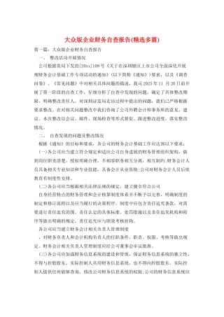 大众版企业财务自查报告