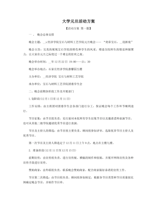 大学元旦活动方案精选
