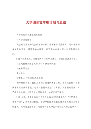 大学团总支年度计划与总结