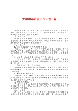 大学学年班级工作计划5篇