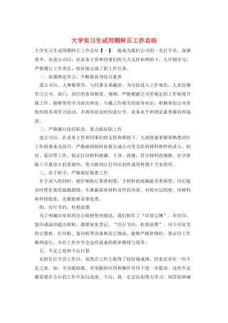 大学实习生试用期转正工作总结
