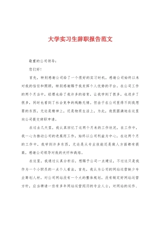 大学实习生辞职报告范文