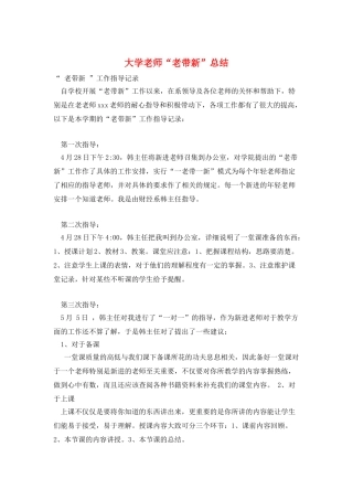 大学教师“老带新”总结