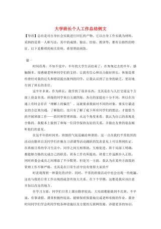 大学班长个人工作总结例文