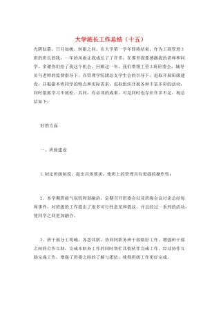 大学班长工作总结(十五)