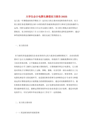 大学生会计电算化暑假实习报告2025