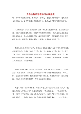大学生售后客服实习自我鉴定