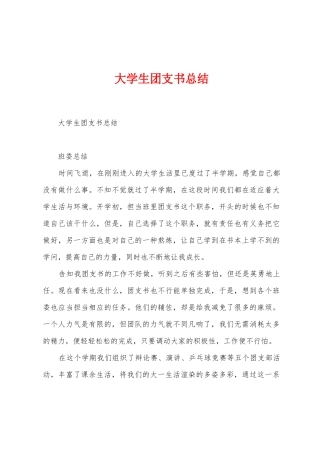 大学生团支书总结