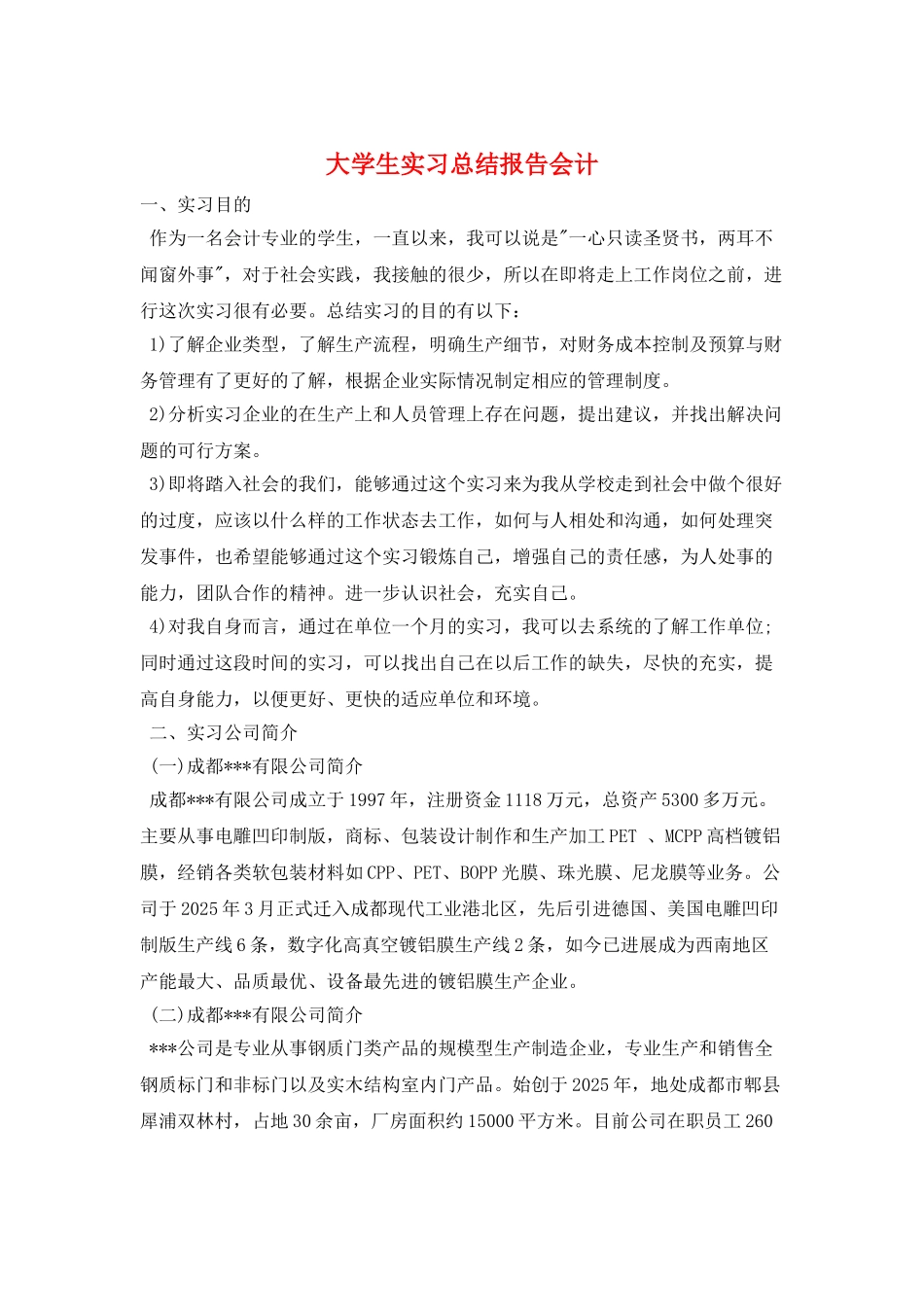 大学生实习总结报告会计_第1页