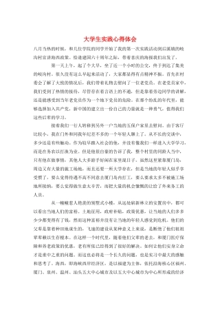 大学生实践心得体会