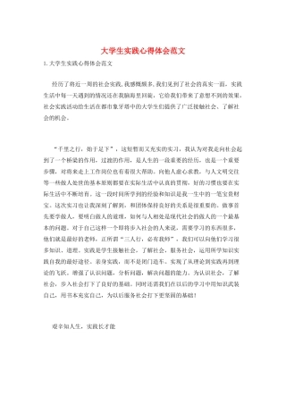大学生实践心得体会范文