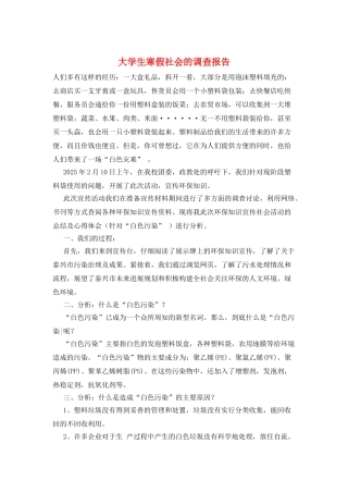 大学生寒假社会的调查报告