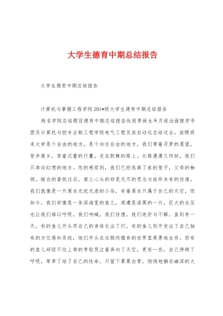 大学生德育中期总结报告