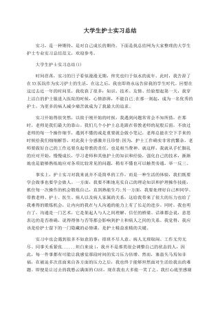 大学生护士实习总结
