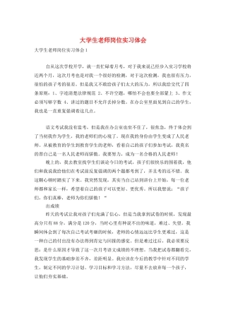 大学生教师岗位实习体会