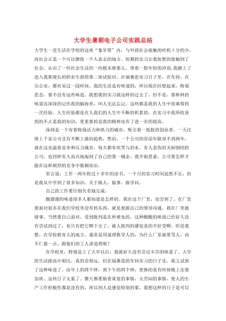 大学生暑期电子公司实践总结