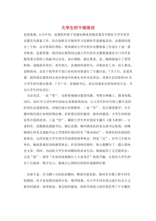 大学生村干部培训
