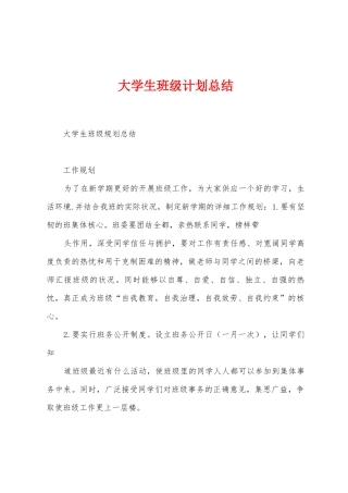大学生班级计划总结