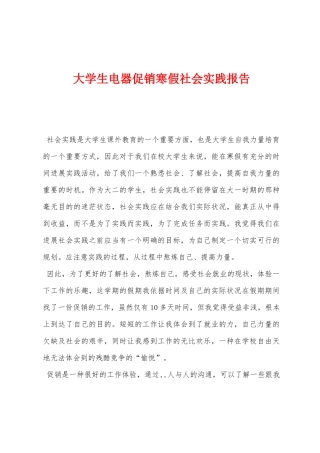 大学生电器促销寒假社会实践报告