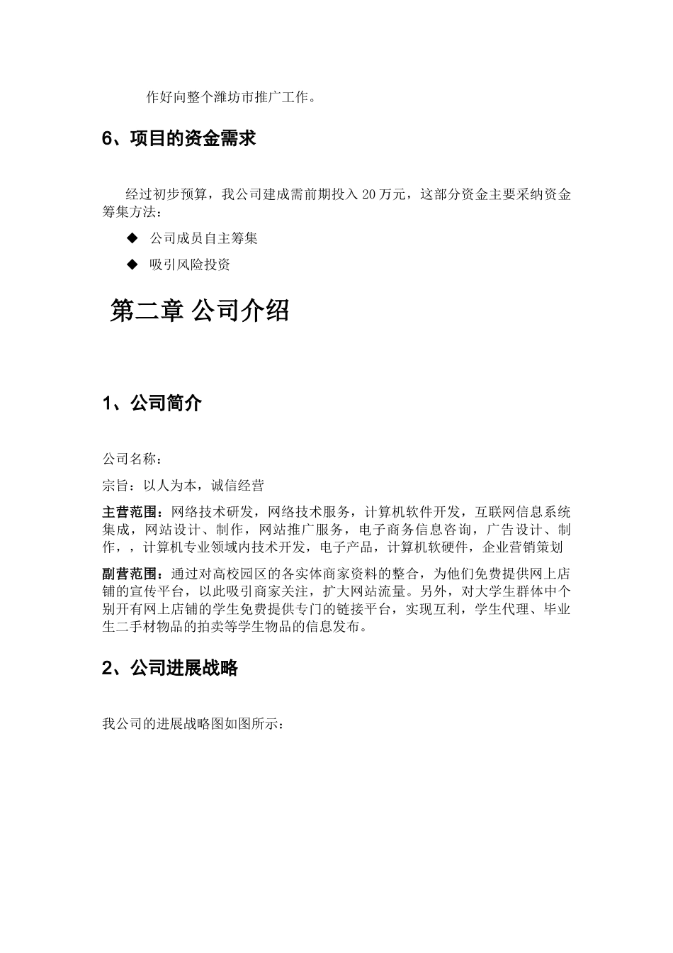 大学生电子商务创业计划书_第3页