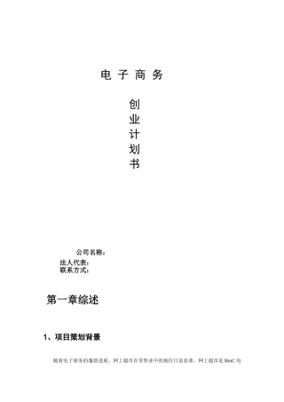 大学生电子商务创业计划书