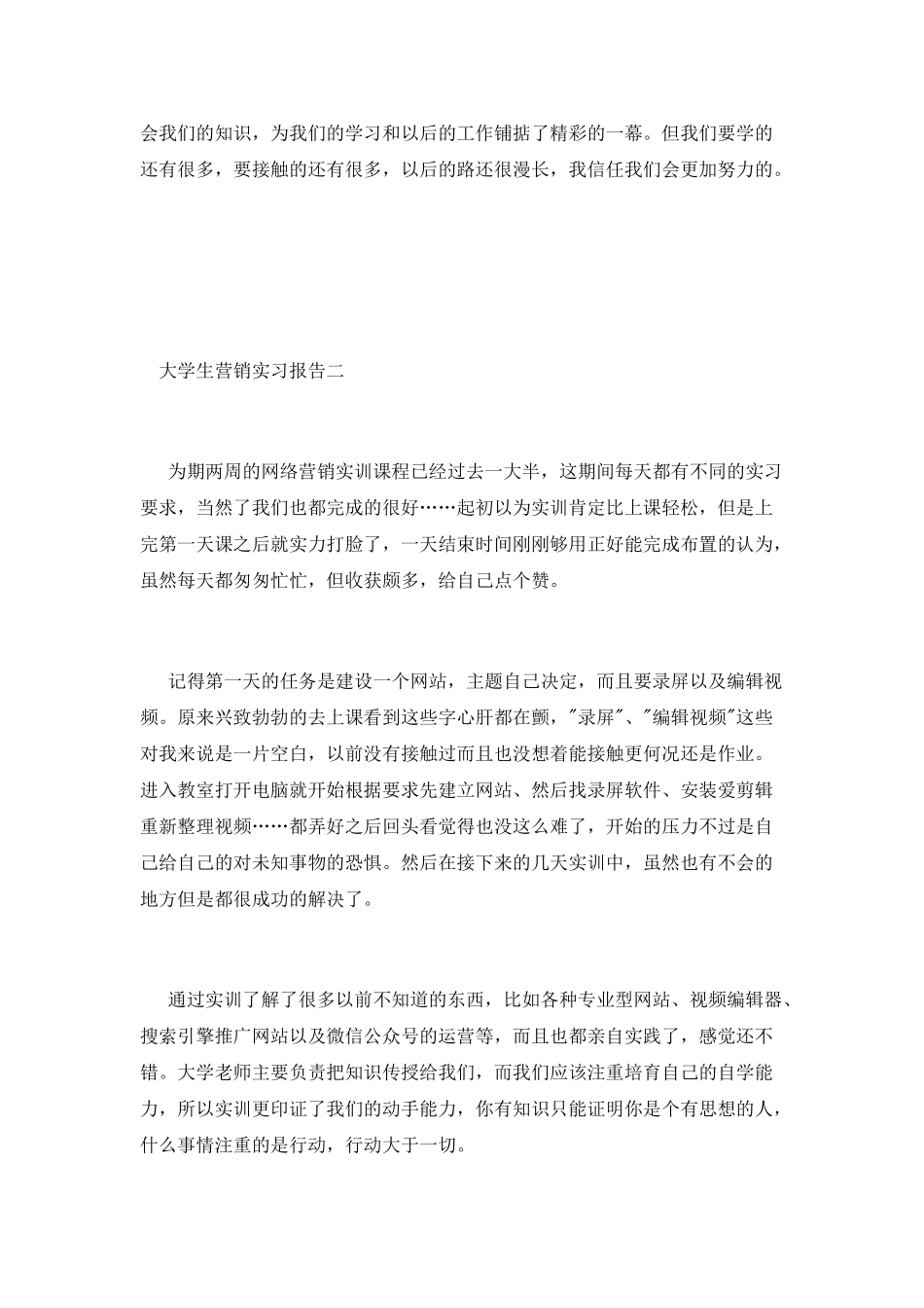 大学生营销实习报告_第2页