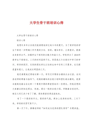 大学生骨干班培训心得