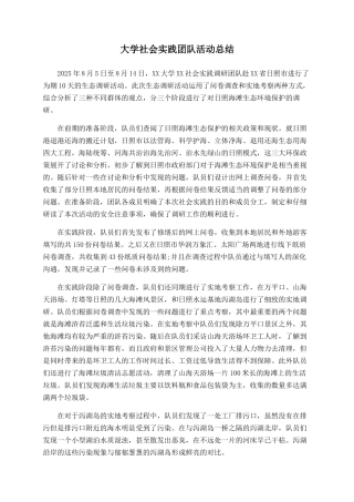 大学社会实践团队活动总结