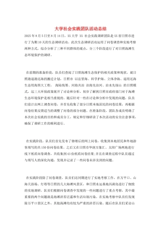 大学社会实践团队活动总结