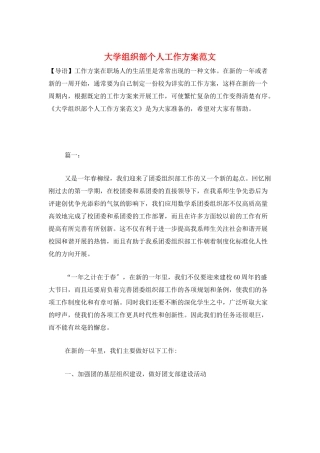 大学组织部个人工作计划范文