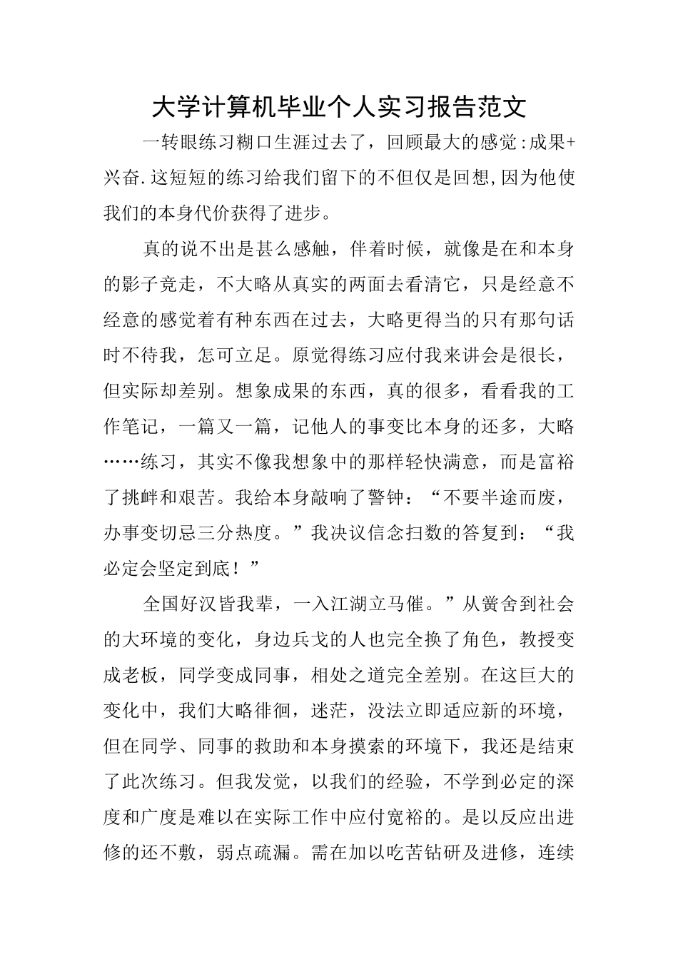 大学计算机毕业个人实习报告范文_第1页