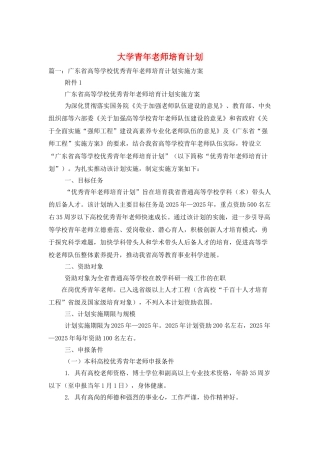大学青年教师培养计划