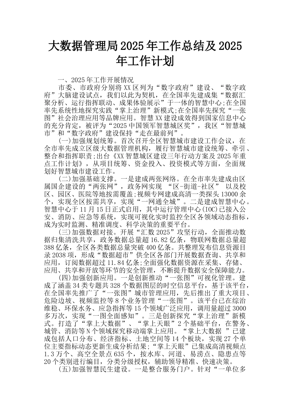大数据管理局2025年工作总结及2025年工作计划_第1页