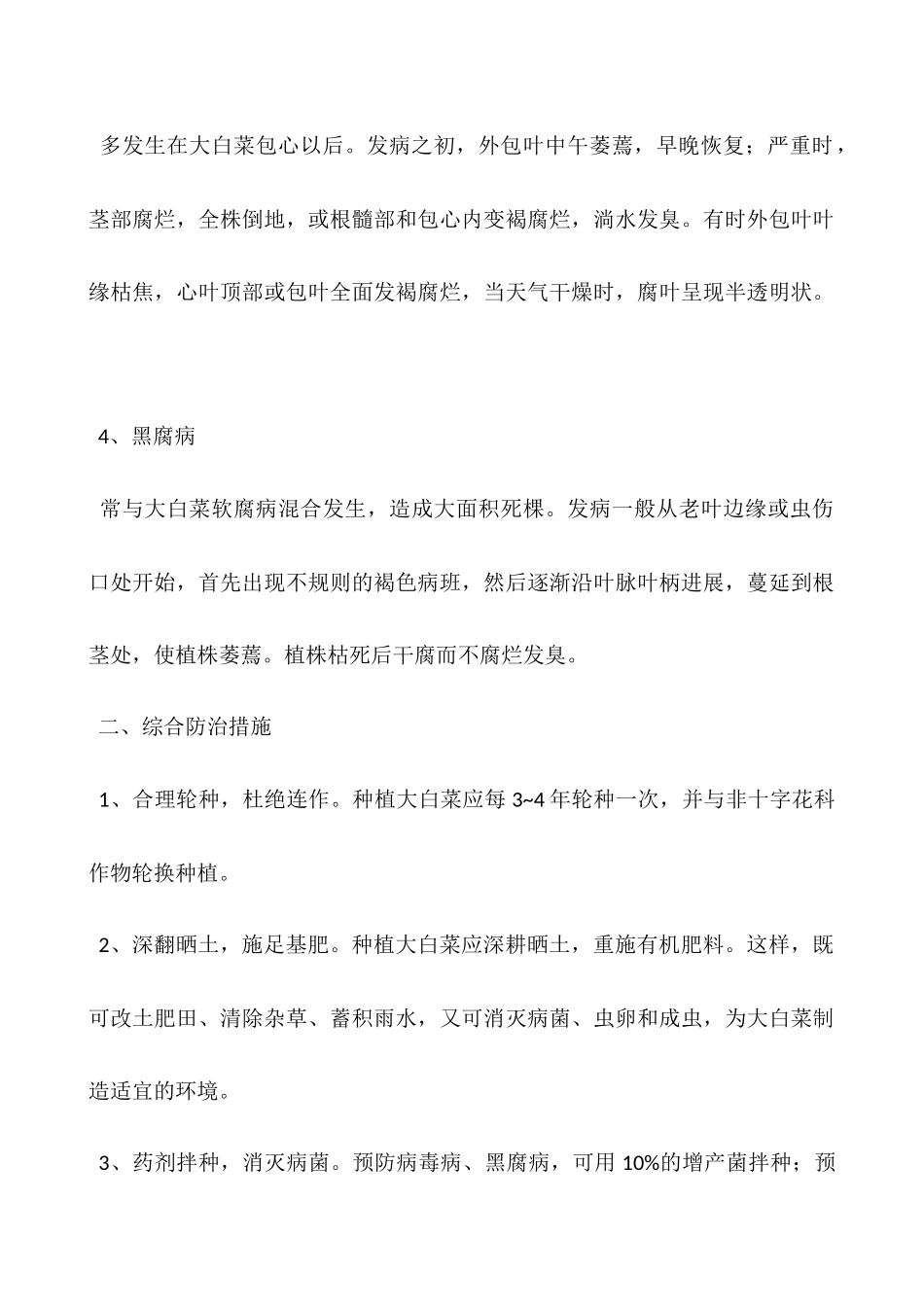 大白菜病害防治技术_第2页