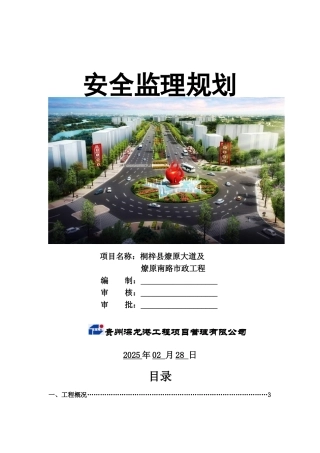 大道安全监理规划