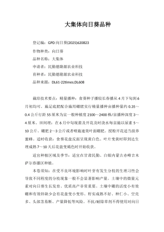 大集体向日葵品种