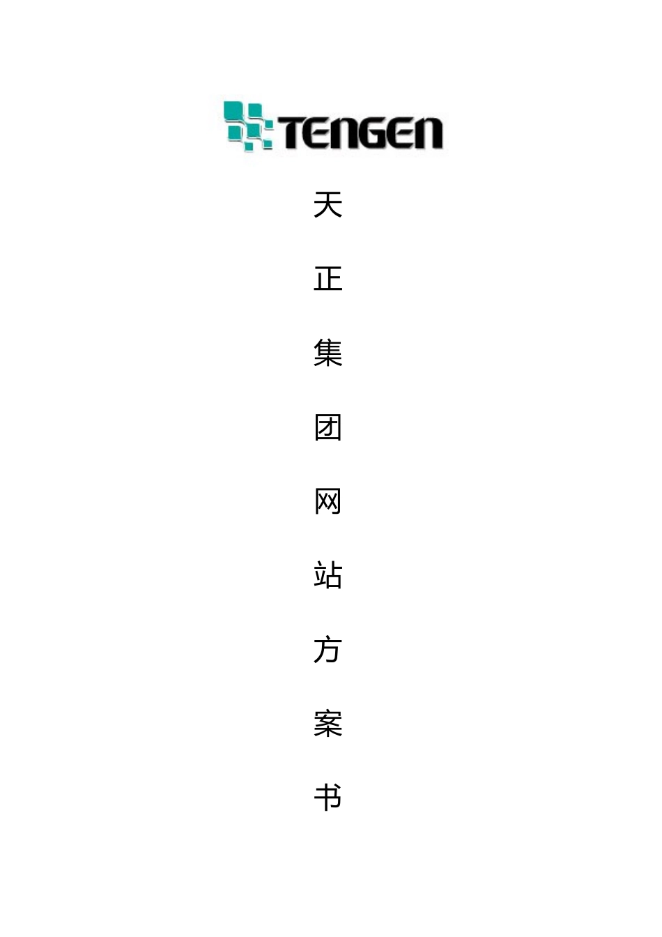 天正集团网站专项方案书_第1页